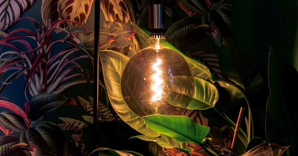 Sammenligning av LED og halogen: Hvilket alternativ er best?